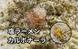 塩ラーメンカルボナーラ.png